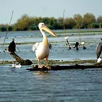 Orizont