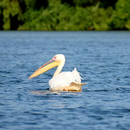 Orizont Apartament *